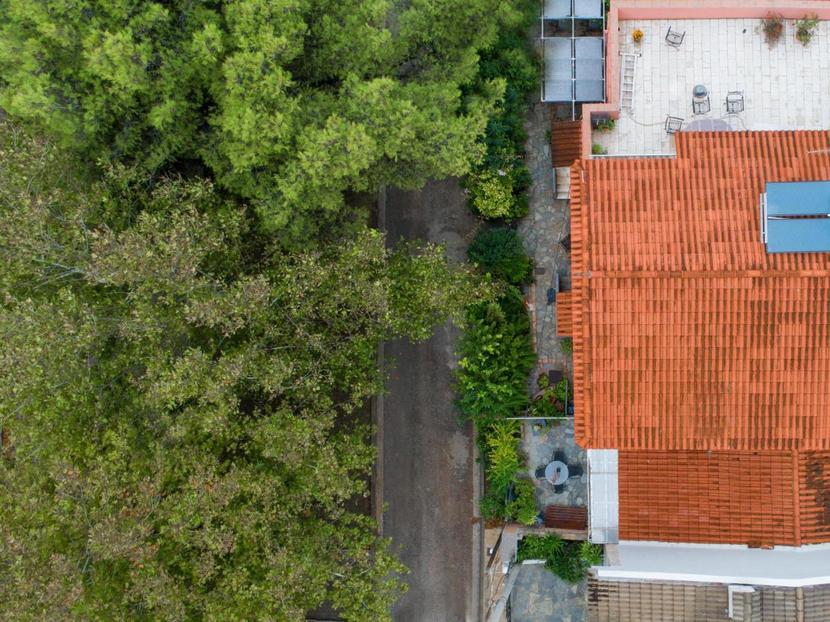 The Country Arths Retreat Apartment Атина Екстериор снимка